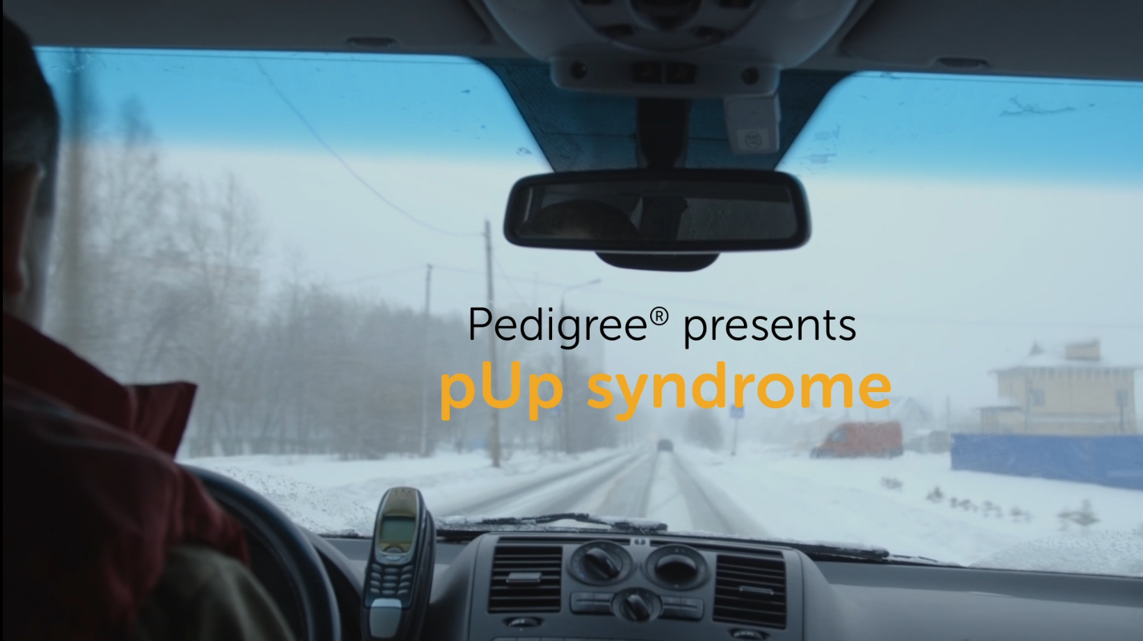 PUP SYNDROME